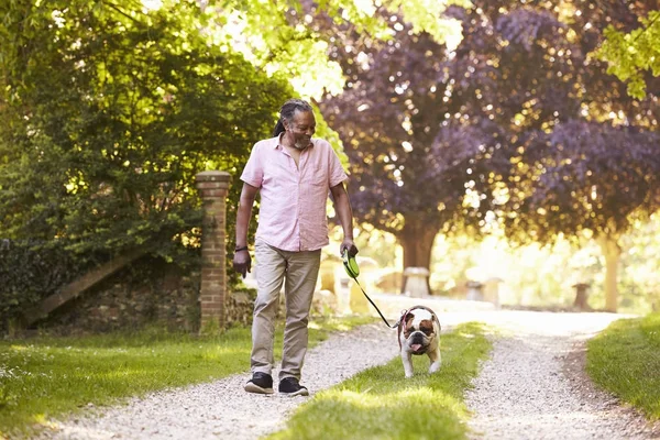 Hombre mayor caminando con perro toro mascota —  Fotos de Stock