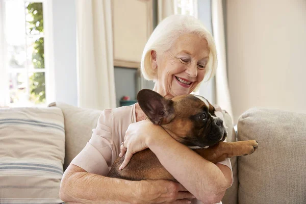 Seniorin mit Haustier Französische Bulldogge — Stockfoto