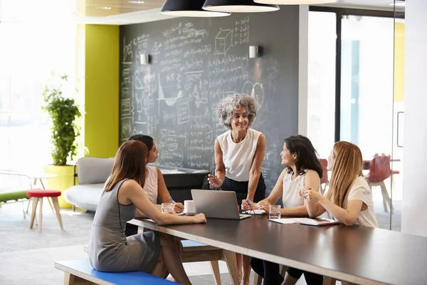 Female boss addressing her colleagues — Stock Photo, Image