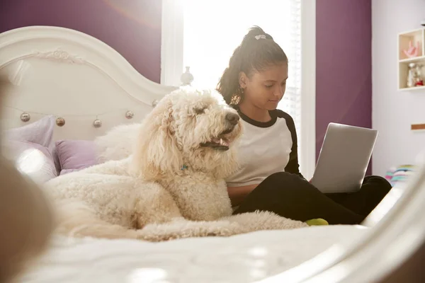 ペットの犬の横に彼女のベッドでノート パソコンを使用して若い十代の少女 — ストック写真