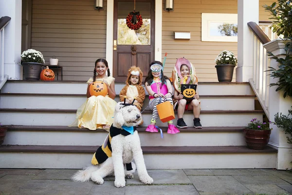 子供と犬のトリックや治療のためのハロウィーンの衣装 — ストック写真