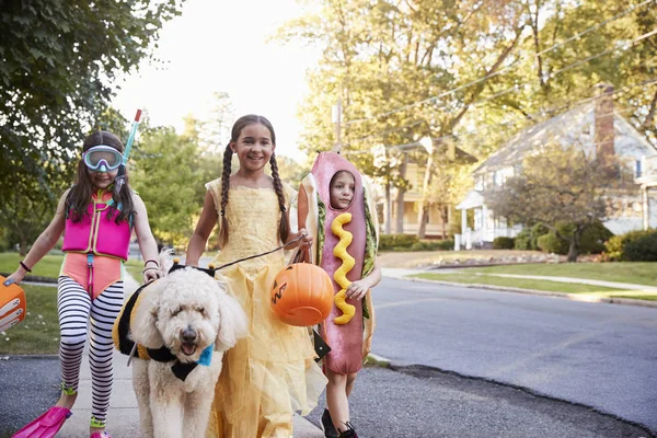 子供と犬のトリックや治療のためのハロウィーンの衣装 — ストック写真