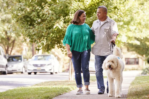 Pareja Mayor Paseando Perro Largo Calle Suburbana —  Fotos de Stock