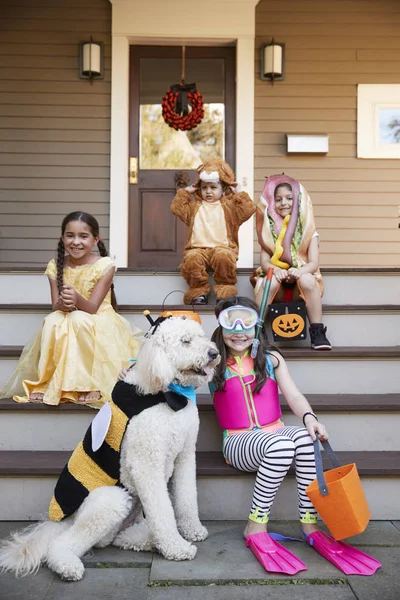 Crianças Cães Trajes Halloween Para Enganar Tratar — Fotografia de Stock