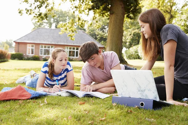 Studenti Adolescenti Seduti All Aperto Che Lavorano Progetto — Foto Stock