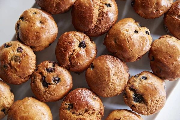 Exibição Muffins Mirtilo Recém Assados Cafeteria — Fotografia de Stock