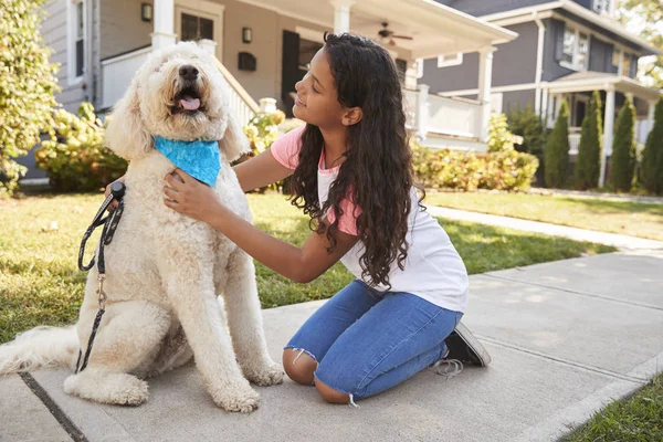 Kız Köpek Banliyö Cadde Boyunca Yürüyüş — Stok fotoğraf