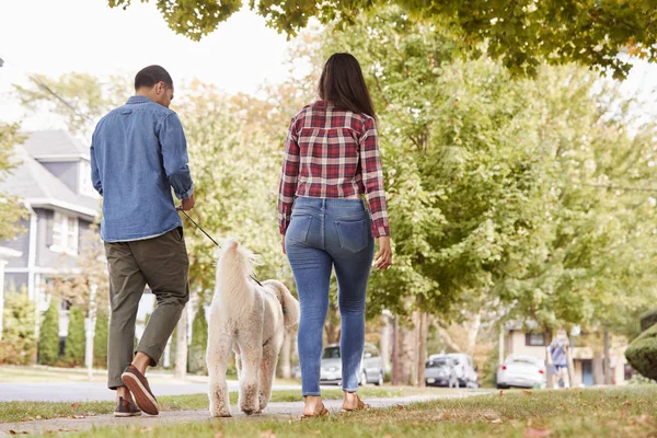 郊外通りカップル歩く犬の背面図 — ストック写真