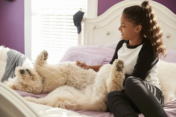 若い十代の少女彼女のベッドの上ペットの犬をなでる — ストック写真