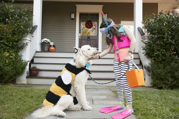 トリックや治療のためのハロウィーンの衣装を着て犬と少女 — ストック写真