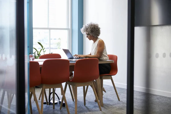 Middelste Leeftijd Vrouw Die Alleen Werkt Office Bestuurskamer — Stockfoto