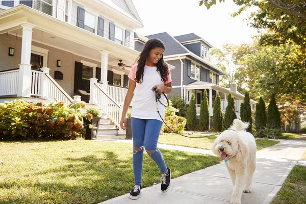 Ragazza Che Cammina Cane Lungo Suburban Street — Foto Stock