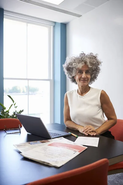Fotoğraf Makinesi Dikey Gülümseyen Bir Ofiste Orta Yaşlı Kadın — Stok fotoğraf