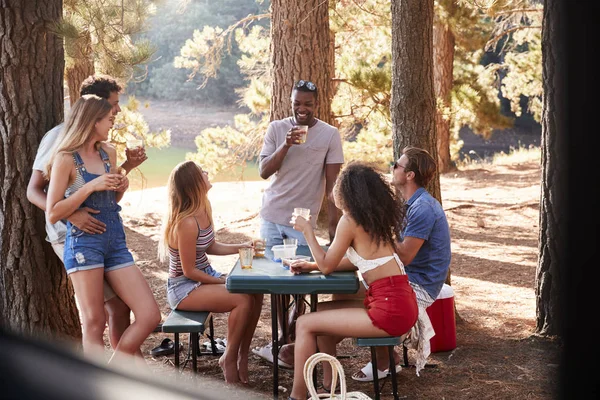 Grupo Amigos Adultos Jóvenes Pasando Rato Junto Lago Cerca —  Fotos de Stock