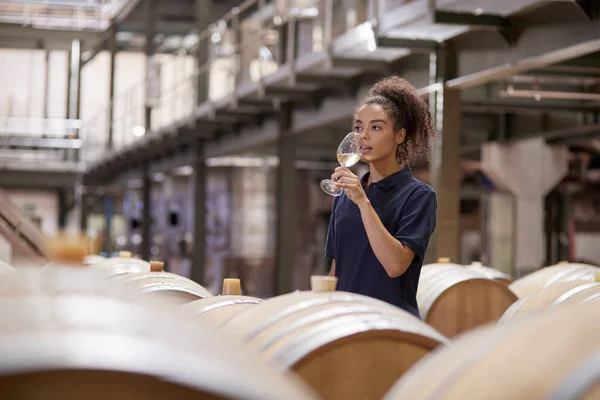 Degustación Vinos Mujer Joven Almacén Una Fábrica Vinos —  Fotos de Stock