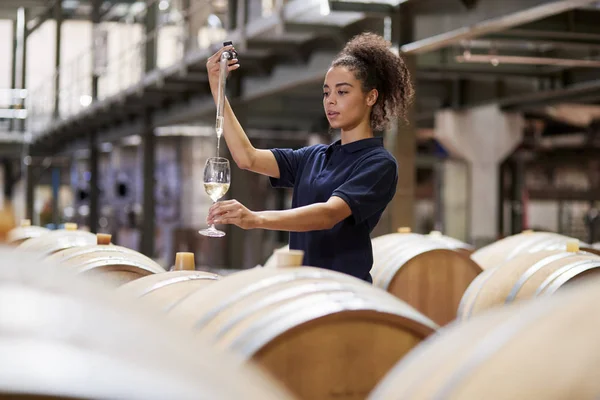 Jonge Vrouw Testen Van Wijn Het Magazijn Van Een Fabriek — Stockfoto