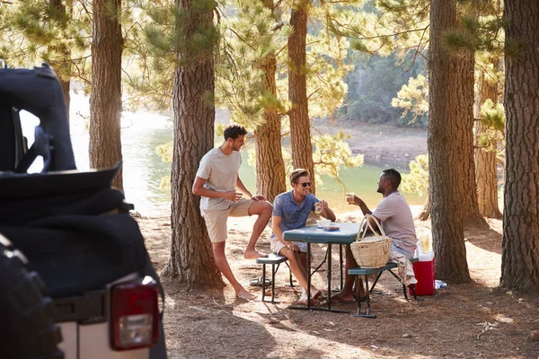 三男性朋友在一个湖的野餐桌讲话 — 图库照片