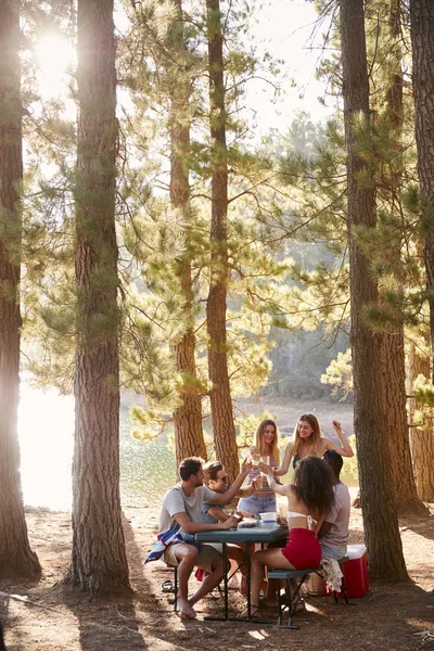 一群朋友在一个湖边的桌子旁闲逛 — 图库照片