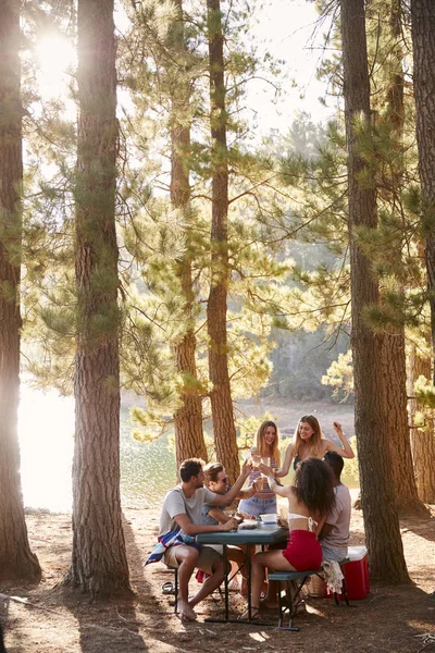 Grupo Amigos Pasando Rato Una Mesa Junto Lago Vertical — Foto de Stock