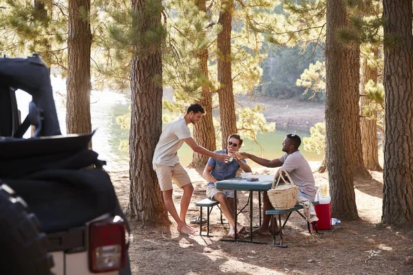 Drei Männliche Freunde Stoßen Einem Picknicktisch See — Stockfoto