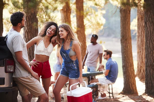 Three Young Adult Friends Cool Box Talking Lake — Stock Photo, Image