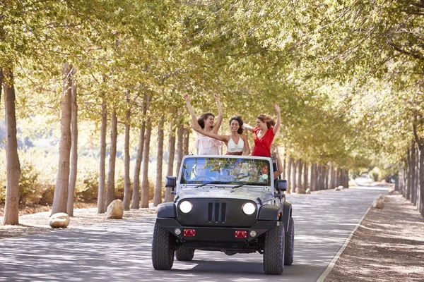 Fidanzate Piedi Sul Retro Una Jeep Open Top — Foto Stock