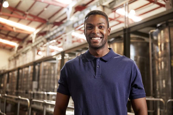 Retrato Jovem Negro Trabalhando Uma Fábrica Vinhos — Fotografia de Stock