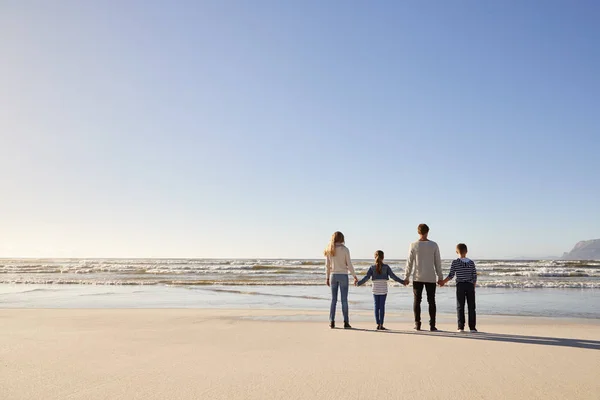 背面図家族の冬の浜辺で海で手を繋いでいます — ストック写真
