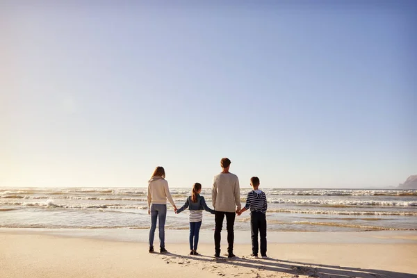 Bakifrån Familjen Vintern Beach Hålla Händer Ute Till Havs — Stockfoto