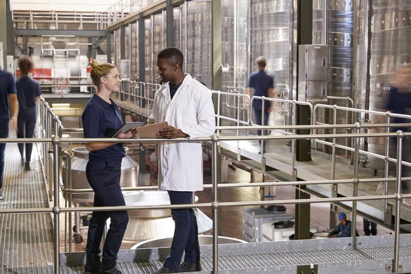 Two Staff Talking Modern Winemaking Factory Close — Stock Photo, Image