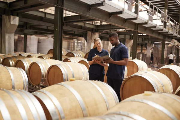 Dois Funcionários Inspeccionar Barris Num Armazém Uma Fábrica Vinhos — Fotografia de Stock