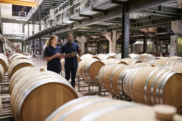 Dois Funcionários Inspeccionar Barris Num Armazém Uma Fábrica Vinhos — Fotografia de Stock