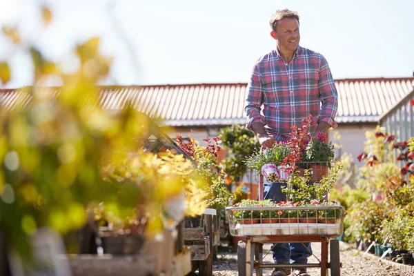 Volwassen Man Klant Kopen Planten Zet Trolley Tuin Centrum — Stockfoto