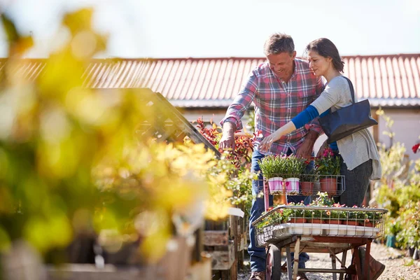 Dojrzała Para Popycha Wózek Roślinami Które Kupili Garden Center — Zdjęcie stockowe