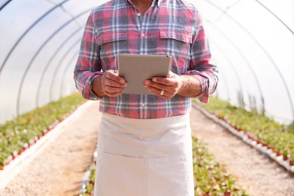 Zbliżenie Dojrzały Człowiek Pracuje Garden Center Greenhouse Cyfrowym Tablet Sprawdzania — Zdjęcie stockowe