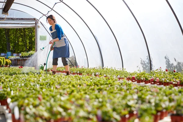 Volwassen Vrouw Werken Tuin Centrum Drenken Planten Kas — Stockfoto