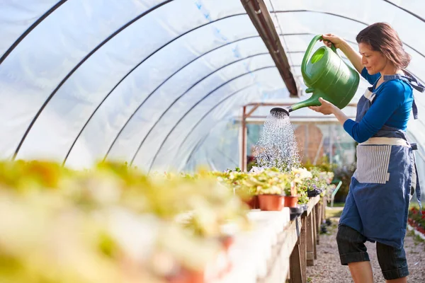 Dojrzałe Kobieta Pracuje Centrum Ogrodu Podlewania Roślin Szklarni Podlewania Puszki — Zdjęcie stockowe