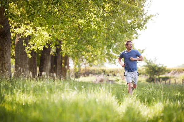 Hombre Haciendo Ejercicio Corriendo Por Campo Campo — Foto de Stock