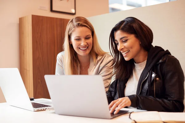 Dos Jóvenes Empresarias Reunidas Torno Mesa Moderno Espacio Trabajo Planta — Foto de Stock