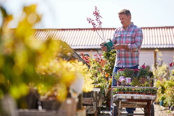 Dojrzałe Mężczyzna Klient Zakup Roślin Umieścić Wózku Centrum Ogrodu — Zdjęcie stockowe