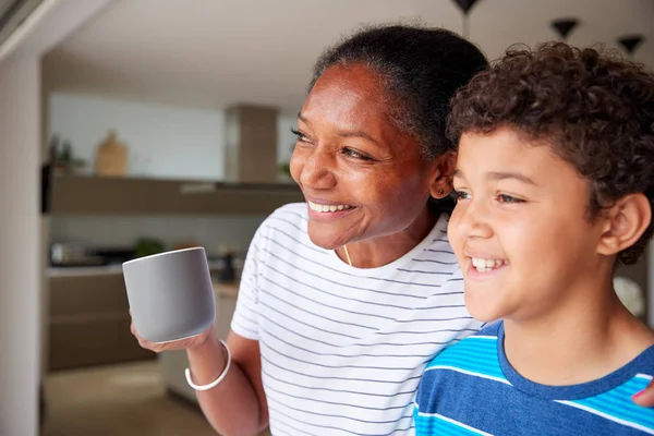 Mormor Med Sonson Hemma Tittar Genom Fönstret Till Trädgården — Stockfoto