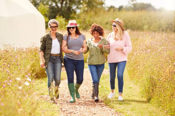 Grupp Mogna Kvinnliga Vänner Vandrar Längs Vägen Genom Yurt Campingen — Stockfoto
