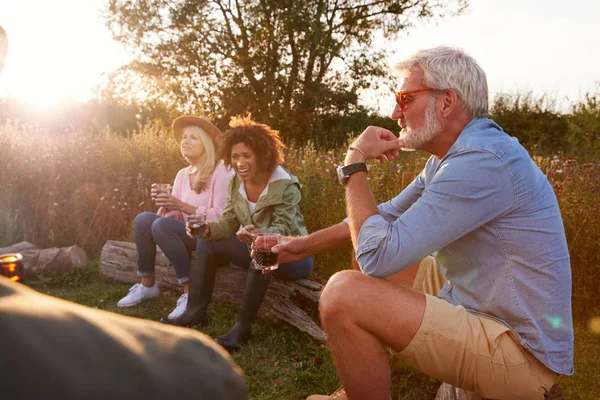 野外キャンプ場でワインを飲みながら火の周りに座っている熟女仲間のグループ — ストック写真