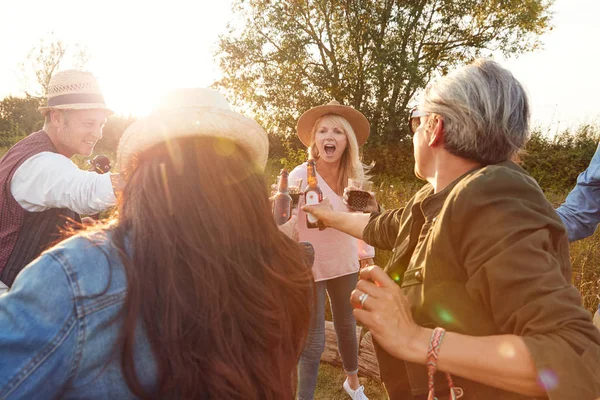 Groep Van Volwassen Vrienden Maken Van Toast Als Zitten Rond — Stockfoto