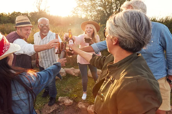 Skupina Dospělých Přátel Dělat Toast Jak Sedí Kolem Ohně Zpívat — Stock fotografie