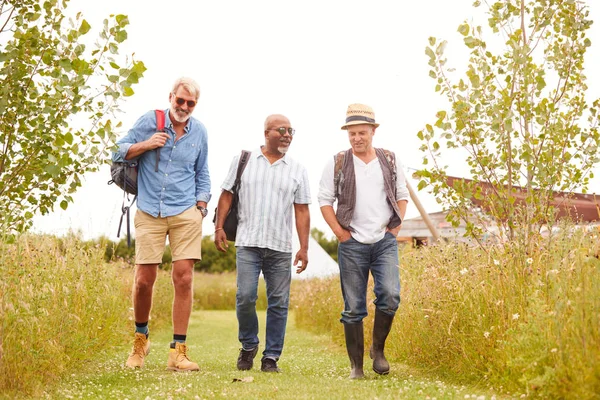Groep Volwassen Mannelijke Vrienden Wandelen Langs Het Pad Door Yurt — Stockfoto