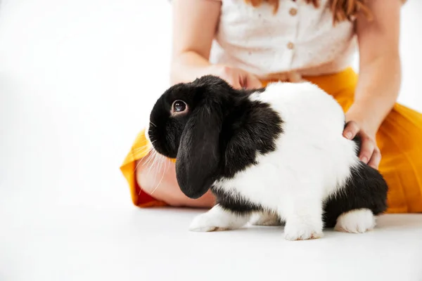 Primer Plano Niño Acariciando Miniatura Negro Blanco Flop Eared Conejo — Foto de Stock