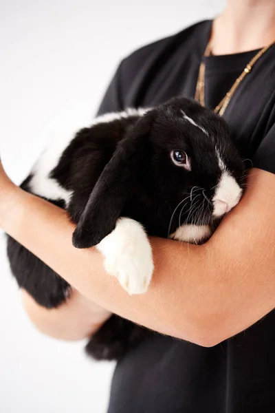 Zbliżenie Właściciela Gospodarstwa Miniaturowy Czarny Biały Flop Eared Rabbit Białym — Zdjęcie stockowe
