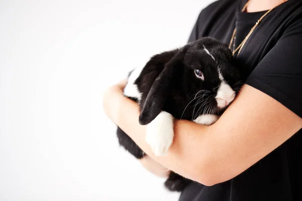 Gros Plan Propriétaire Tenant Lapin Noir Blanc Miniature Oreilles Flottantes — Photo