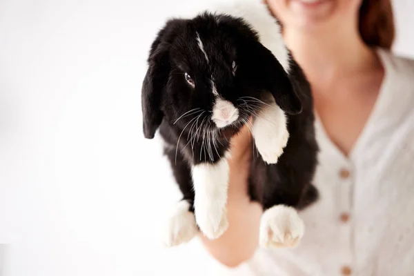 Close Child Holding Miniature Black White Flop Eared Rabbit White — Stock Photo, Image